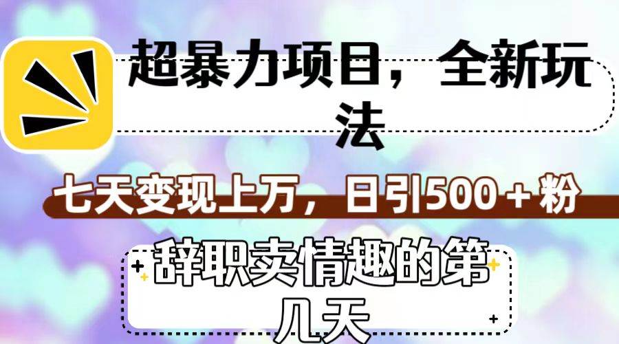 超暴利项目，全新玩法（辞职卖情趣的第几天），七天变现上万，日引500+粉 - 晨鑫项目库-晨鑫项目库