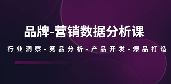 品牌-营销数据分析课，行业洞察-竞品分析-产品开发-爆品打造 - 晨鑫项目库-晨鑫项目库