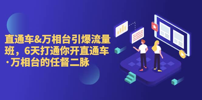 直通车+万相台引爆流量班，6天打通你开直通车·万相台的任督 二脉 - 晨鑫项目库-晨鑫项目库