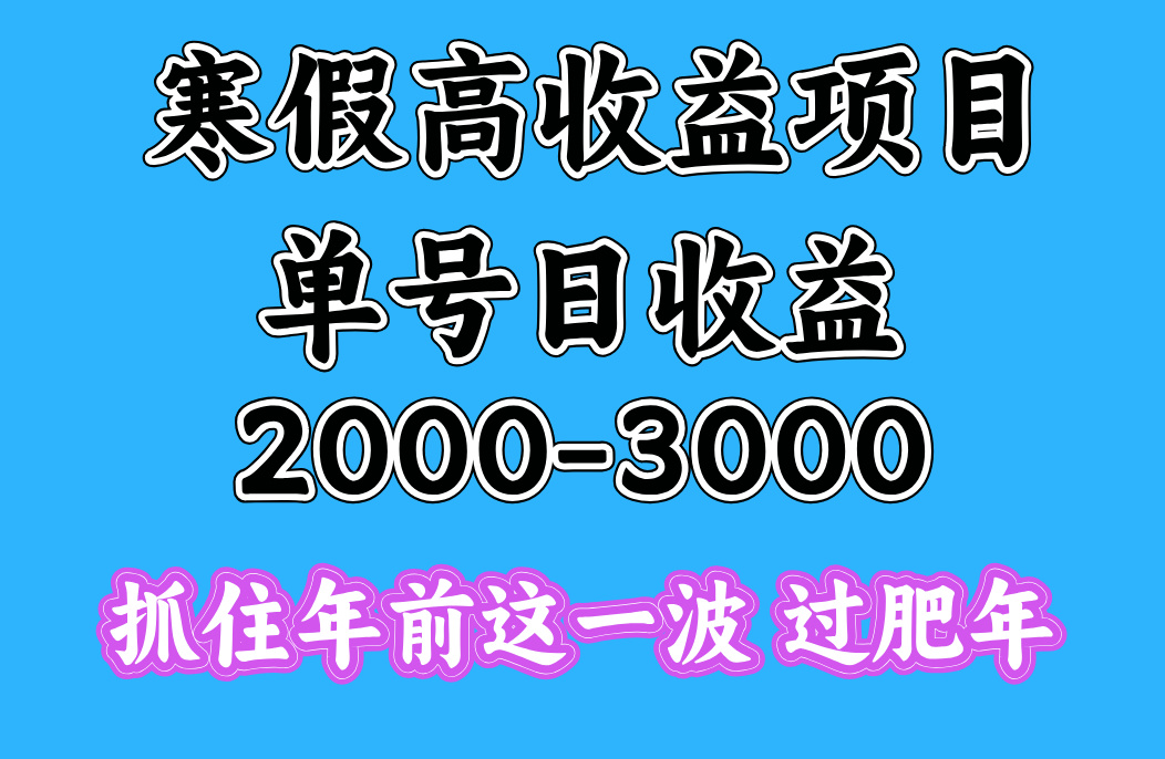 寒假期间一天收益2000-3000+，抓住年前这一波 - 晨鑫项目库-晨鑫项目库