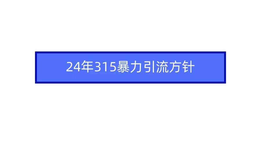 2024年315暴力引流方针 - 晨鑫项目库-晨鑫项目库
