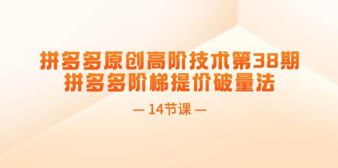 拼多多原创高阶技术第38期，拼多多阶梯提价破量法（14节课） - 晨鑫项目库-晨鑫项目库
