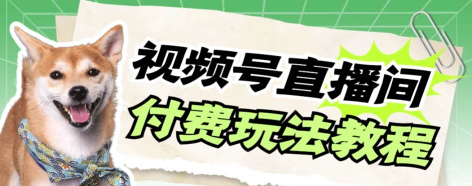 视频号美女付费无人直播，轻松日入500+【详细玩 - 晨鑫项目库-晨鑫项目库