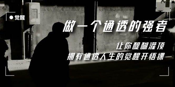 觉醒-做一个通透强者，让你醍醐灌顶，拥有通透人生，掌握强大的秘密 - 晨鑫项目库-晨鑫项目库
