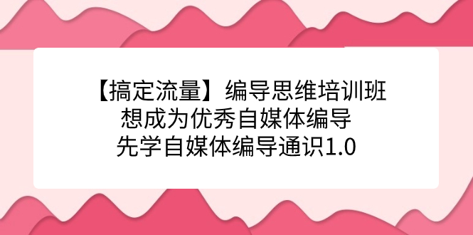 【搞定流量】编导思维培训班，想成为优秀自媒体编导先学自媒体编导通识1.0 - 晨鑫项目库-晨鑫项目库