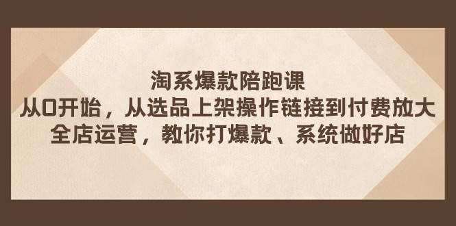 淘系爆款陪跑课 从选品上架操作链接到付费放大 全店运营 打爆款 系统做好店 - 晨鑫项目库-晨鑫项目库