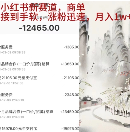 小红书新赛道，商单接到手软，涨粉迅速，一个月1w+ - 晨鑫项目库-晨鑫项目库