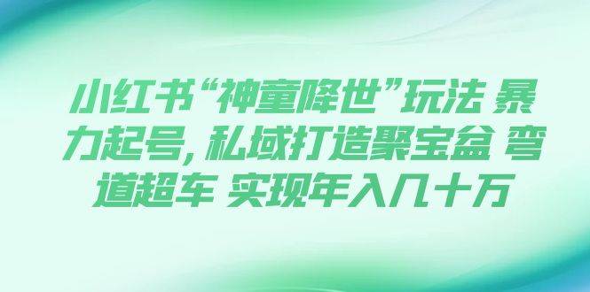 小红书“神童降世”玩法 暴力起号,私域打造聚宝盆 弯道超车 实现年入几十万 - 晨鑫项目库-晨鑫项目库