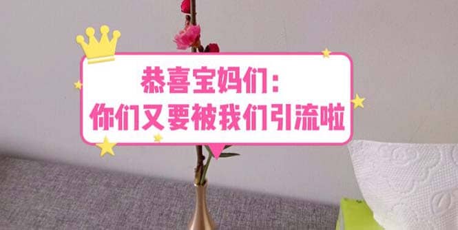 恭喜宝妈们：你们又要被我们引流了（教程+222g资料） - 晨鑫项目库-晨鑫项目库