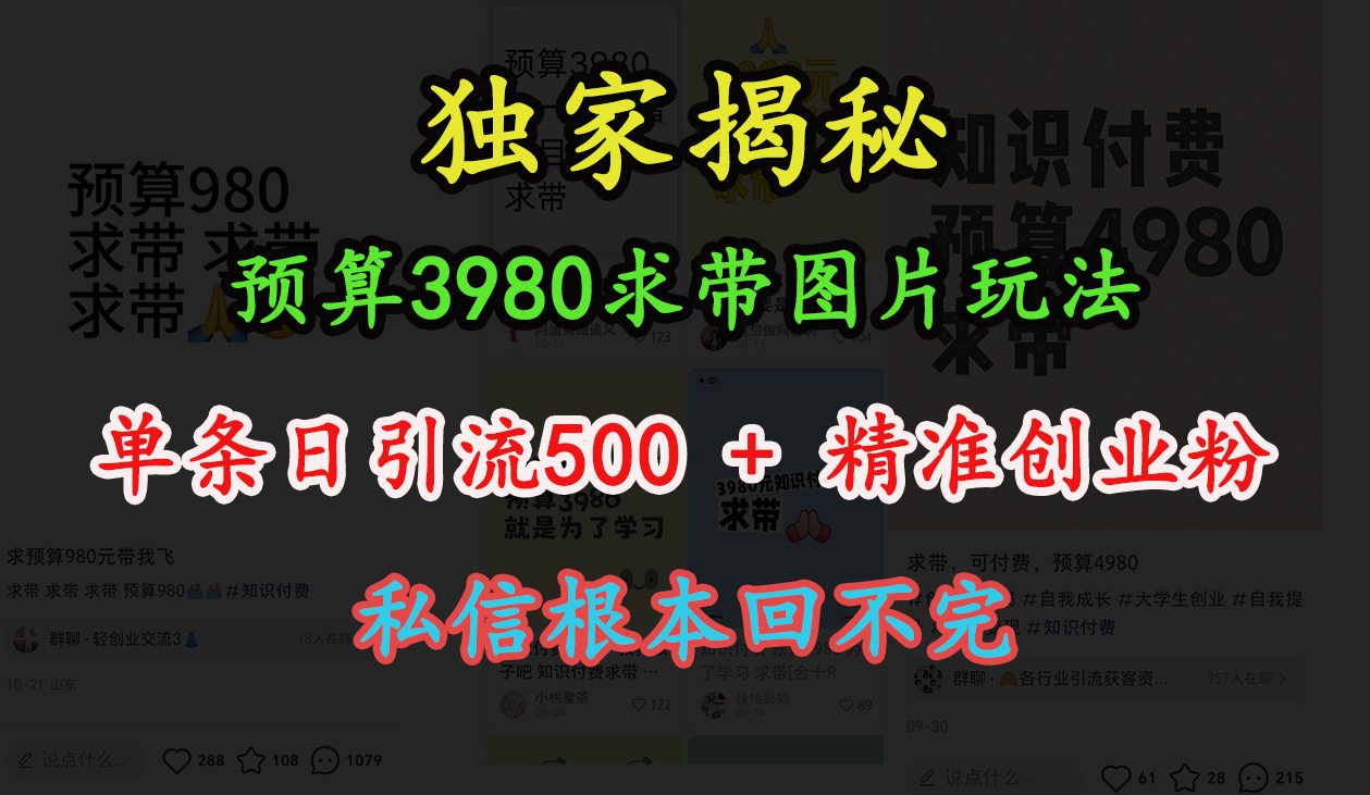 “小红书”预算3980求带 图片玩法，单条日引流500+精准创业粉，私信根本回不完 - 晨鑫项目库-晨鑫项目库
