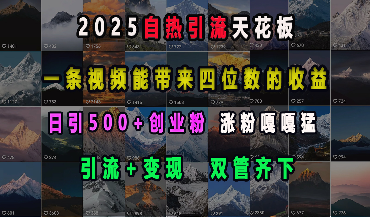 2025自热引流天花板，一条视频能带来四位数的收益，引流+变现双管齐下，日引500+创业粉，涨粉嘎嘎猛 - 晨鑫项目库-晨鑫项目库