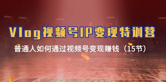 Vlog 视频号IP变现特训营，普通人如何通过视频号变现赚钱（15节） - 晨鑫项目库-晨鑫项目库