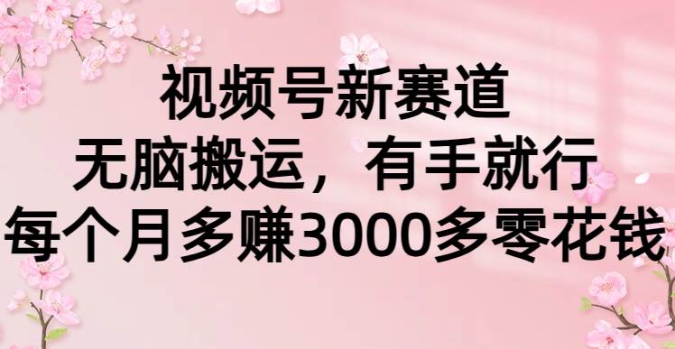 视频号新赛道，无脑搬运，有手就行，每个月多赚3000多零花钱 - 晨鑫项目库-晨鑫项目库