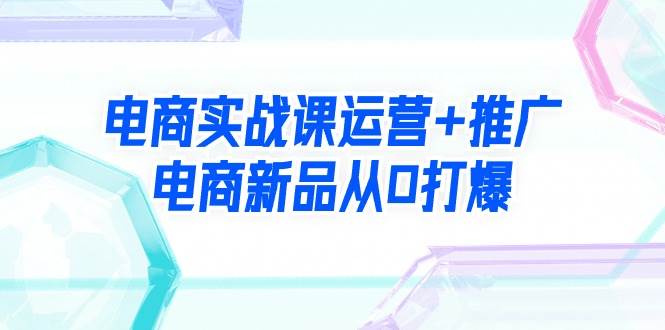电商实战课运营+推广，电商新品从0打爆（99节视频课） - 晨鑫项目库-晨鑫项目库