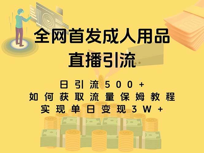 最新全网独创首发，成人用品直播引流获客暴力玩法，单日变现3w保姆级教程 - 晨鑫项目库-晨鑫项目库