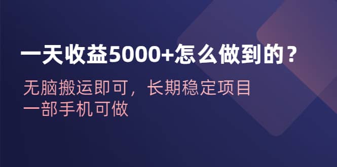 一天收益5000+怎么做到的？无脑搬运即可，长期稳定项目，一部手机可做 - 晨鑫项目库-晨鑫项目库