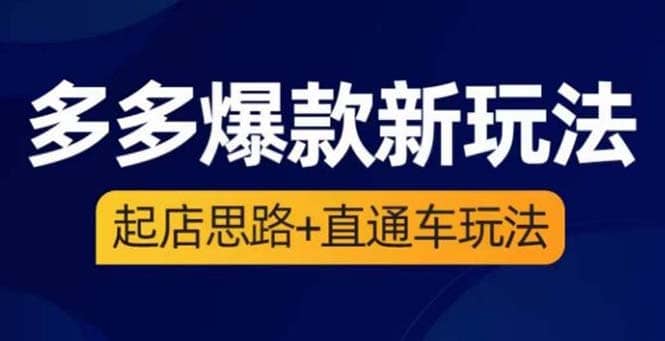 2023拼多多爆款·新玩法：起店思路+直通车玩法（3节精华课） - 晨鑫项目库-晨鑫项目库