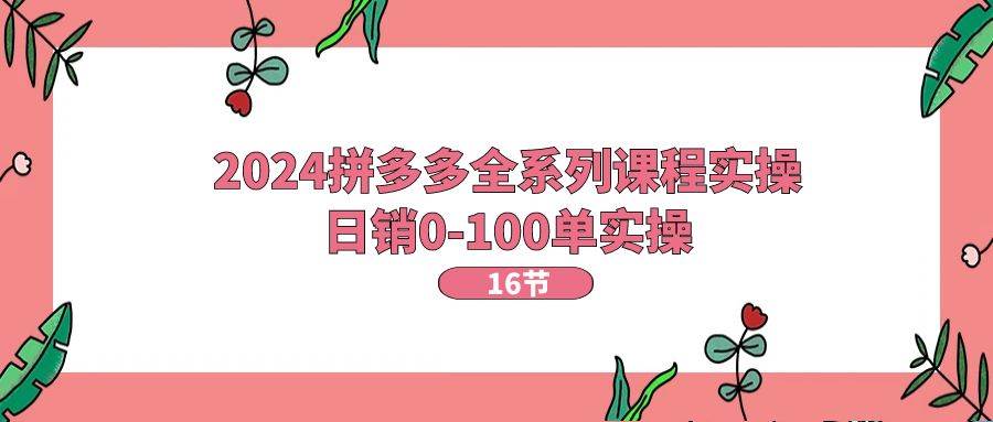 2024拼多多全系列课程实操，日销0-100单实操【16节课】 - 晨鑫项目库-晨鑫项目库