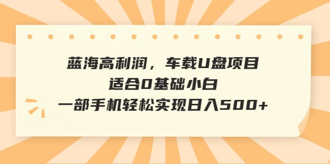 蓝海高利润，车载U盘项目，适合0基础小白，一部手机轻松实现日入500+ - 晨鑫项目库-晨鑫项目库