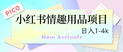最新小红书情趣用品项目，日入1-4k - 晨鑫项目库-晨鑫项目库