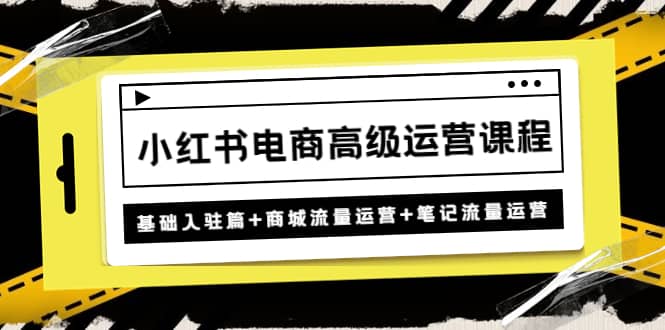小红书电商高级运营课程：基础入驻篇+商城流量运营+笔记流量运营 - 晨鑫项目库-晨鑫项目库