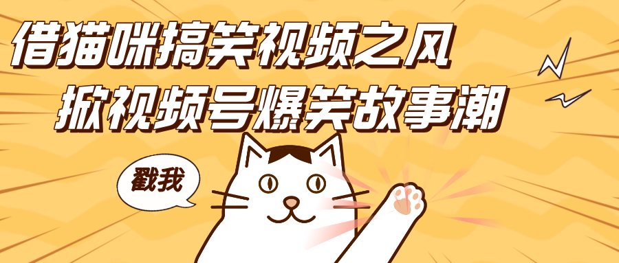借猫咪搞笑视频之风，掀视频号爆笑故事潮，轻松日赚四位数，开启无门槛赚钱新体验！ - 晨鑫项目库-晨鑫项目库