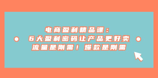 电商 盈利精品课：6大盈利 密码让产品更好卖，流量是刚需！爆款是刚需 - 晨鑫项目库-晨鑫项目库