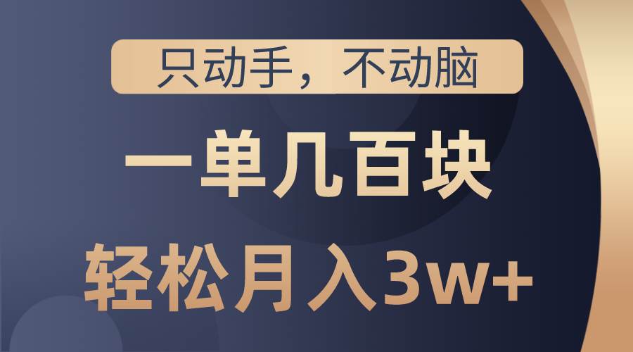 只动手不动脑，一单几百块，轻松月入3w+，看完就能直接操作，详细教程 - 晨鑫项目库-晨鑫项目库