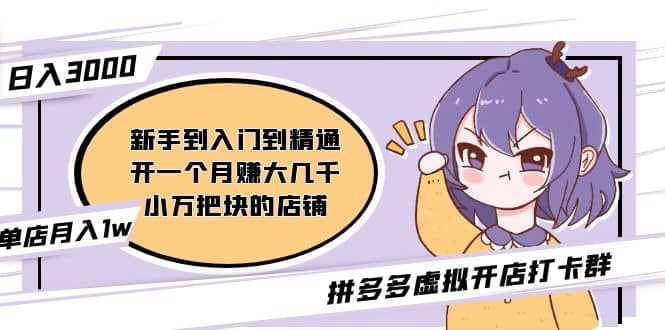 拼多多虚拟开店打卡群：新手到入门到精通 - 晨鑫项目库-晨鑫项目库