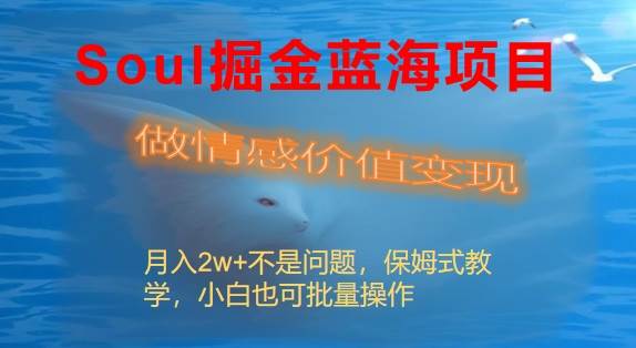 Soul掘金蓝海项目细分赛道，做情感价值变现，月入2w+不是问题 - 晨鑫项目库-晨鑫项目库
