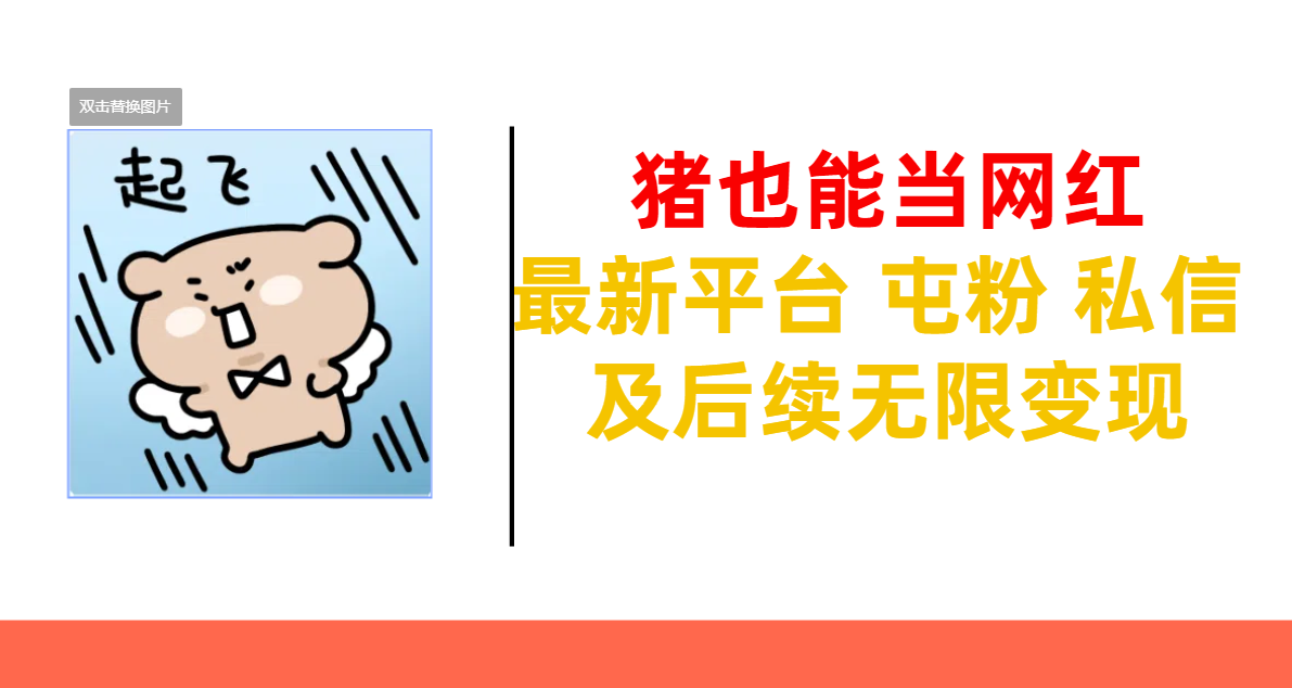 猪也能当网红-最新平台 屯粉 交流 私信 及后续无限变现 - 晨鑫项目库-晨鑫项目库