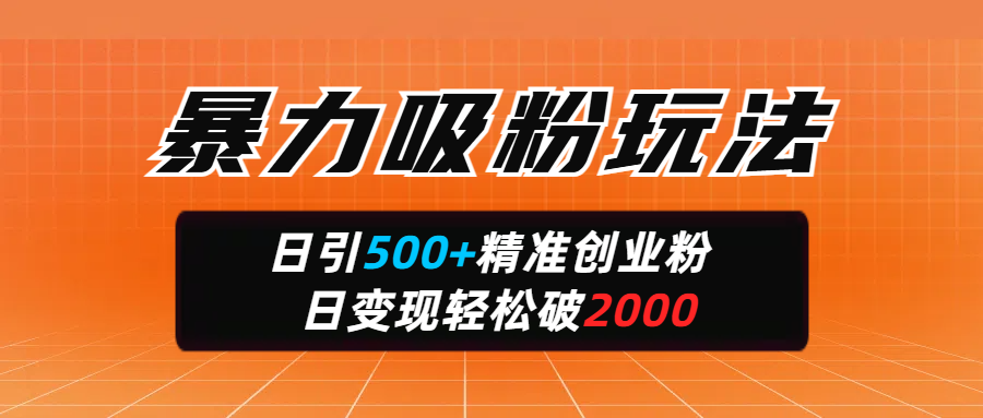 暴力吸粉玩法，日引500+精准创业粉，日变现轻松破2000 - 晨鑫项目库-晨鑫项目库