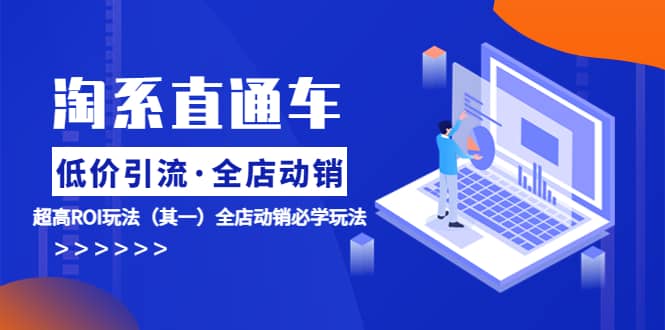 淘系直通车《低价·引流 全店·动销》超高ROI玩法（其一）全店动销必学玩法 - 晨鑫项目库-晨鑫项目库