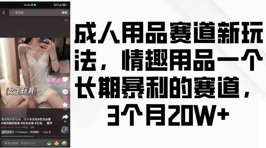 情趣用品一个长期暴利的赛道，成人用品赛道新玩法，3个月20W+ - 晨鑫项目库-晨鑫项目库