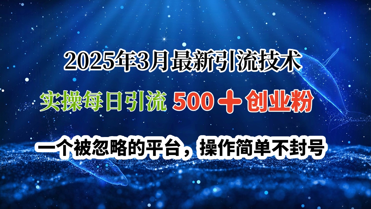2025年3月最新引流技术，实操每日引流500➕创业粉，一个被忽略的平台，操作简单不封号 - 晨鑫项目库-晨鑫项目库