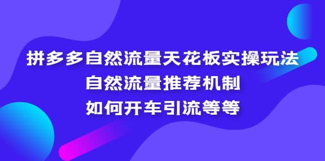 拼多多自然流量天花板实操玩法：自然流量推荐机制，如何开车引流等等 - 晨鑫项目库-晨鑫项目库