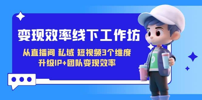 变现-效率线下工作坊，从直播间、私域、短视频3个维度 升级IP+团队变现效率 - 晨鑫项目库-晨鑫项目库
