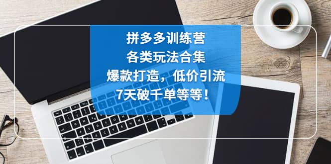 拼多多训练营：各玩法合集，爆款打造，低价引流，7天破千单等等 - 晨鑫项目库-晨鑫项目库