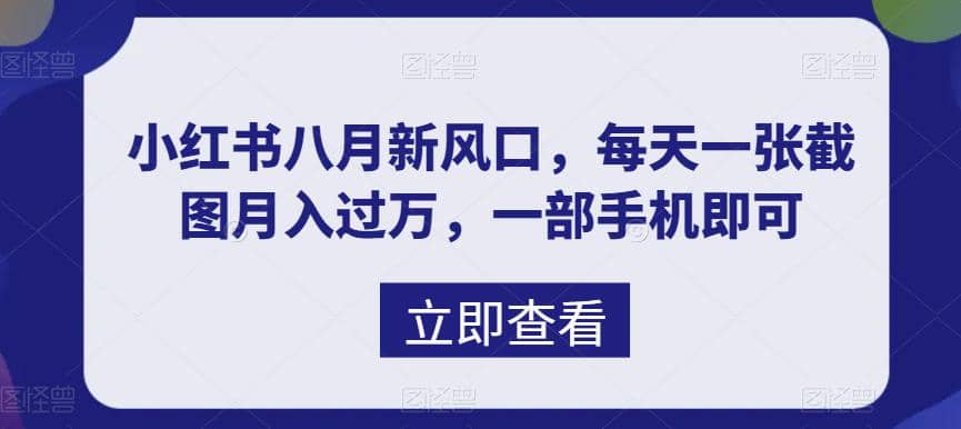 八月新风口，小红书虚拟项目一天收入1000+，实战揭秘 - 晨鑫项目库-晨鑫项目库