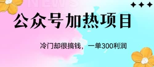 冷门公众号加热项目，一单利润300+ - 晨鑫项目库-晨鑫项目库