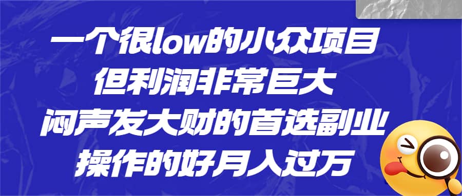 一个很low的小众项目，但利润非常巨大，闷声发大财的首选副业，月入过万 - 晨鑫项目库-晨鑫项目库