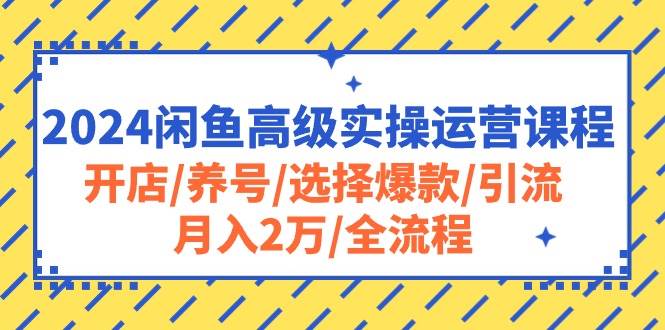 2024闲鱼高级实操运营课程：开店/养号/选择爆款/引流/月入2万/全流程 - 晨鑫项目库-晨鑫项目库