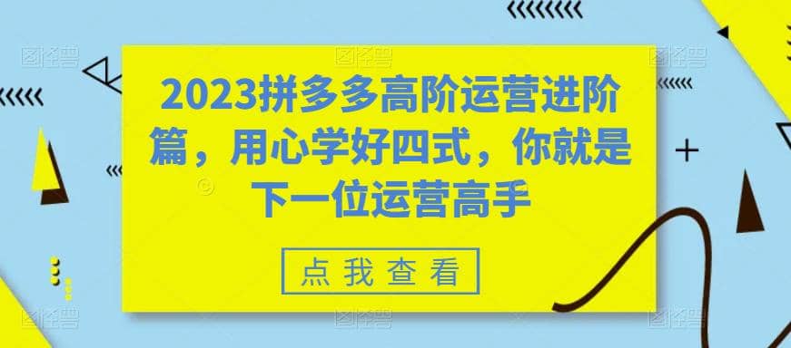 2023拼多多高阶运营进阶篇，用心学好四式，你就是下一位运营高手 - 晨鑫项目库-晨鑫项目库