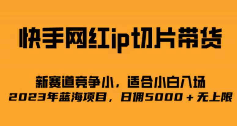 快手网红ip切片新赛道，竞争小事，适合小白 2023蓝海项目 - 晨鑫项目库-晨鑫项目库