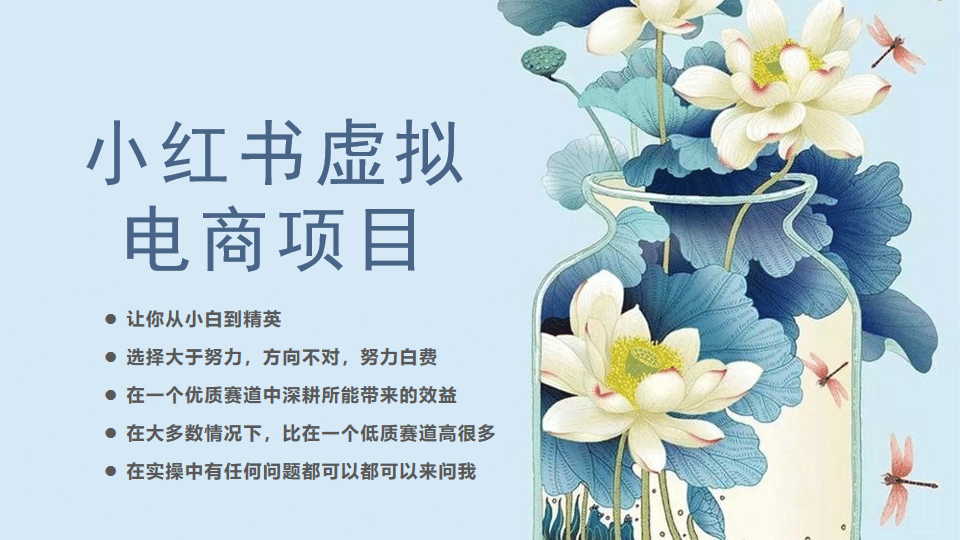 小红书虚拟电商从0到1，让你从小白到精英（20节实操课程） - 晨鑫项目库-晨鑫项目库
