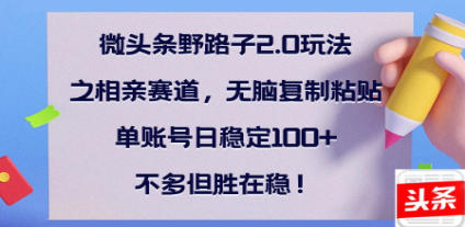 全网首发微头条野路子2.0玩法之相亲赛道，无脑搬砖复制粘贴，单账号日稳定300+保姆级教程 - 晨鑫项目库-晨鑫项目库