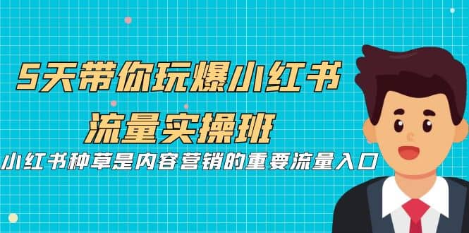5天带你玩爆小红书流量实操班，小红书种草是内容营销的重要流量入口 - 晨鑫项目库-晨鑫项目库