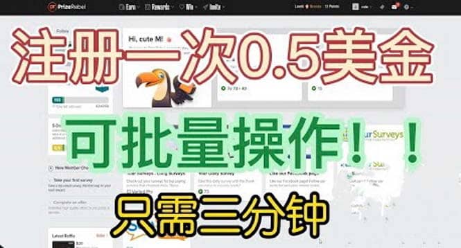 国外项目注册一次0.5美金 只需三分钟无脑操作 可批量放大 小白工作室福利 - 晨鑫项目库-晨鑫项目库