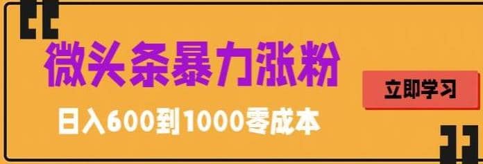 微头条暴力涨粉技巧搬运文案就能涨几万粉丝，简单0成本，日赚600 - 晨鑫项目库-晨鑫项目库