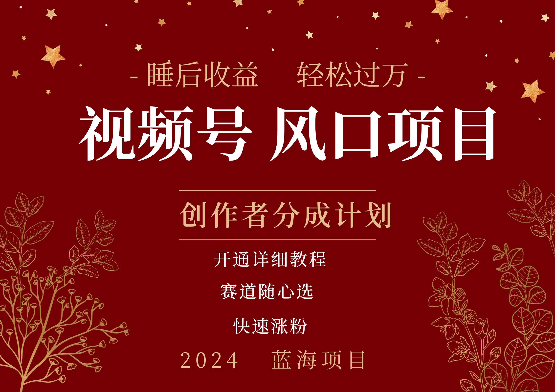 拥有睡眠收益的微信视频号大风口项目，轻松月入过万+，多赛道选择，可矩阵，玩法简单轻松上手 - 晨鑫项目库-晨鑫项目库